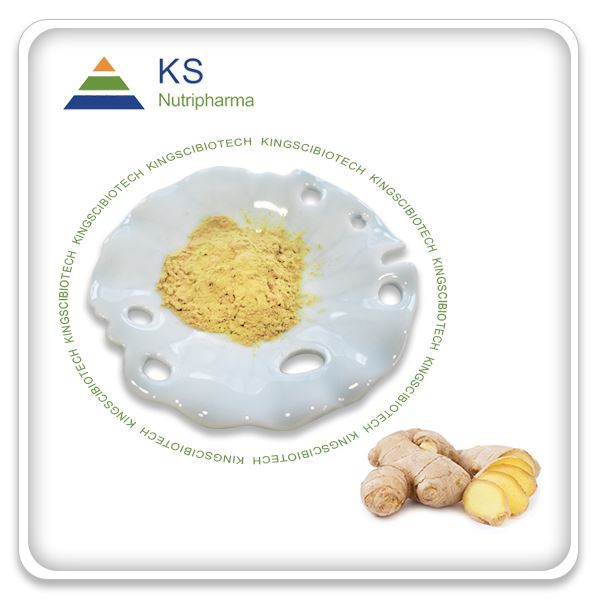 Ingveri ekstrakti pulber