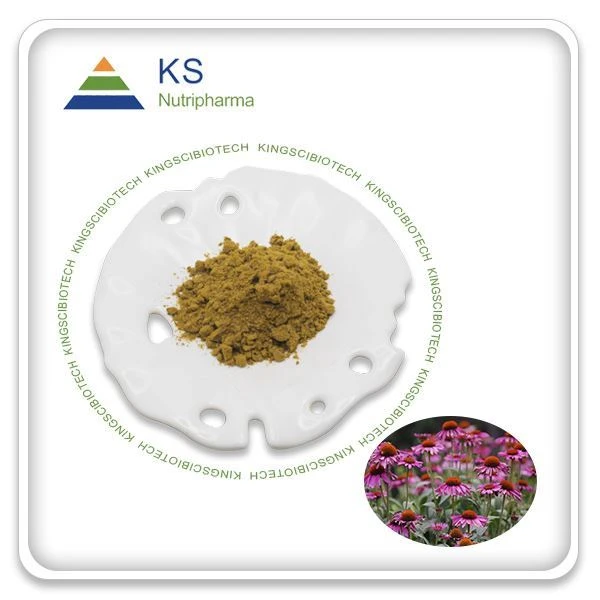 Echinacea purpurea juuriekstrakt