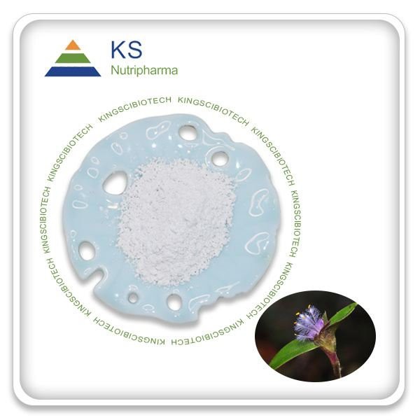 20- hüdroksü ekdüsterooni pulber